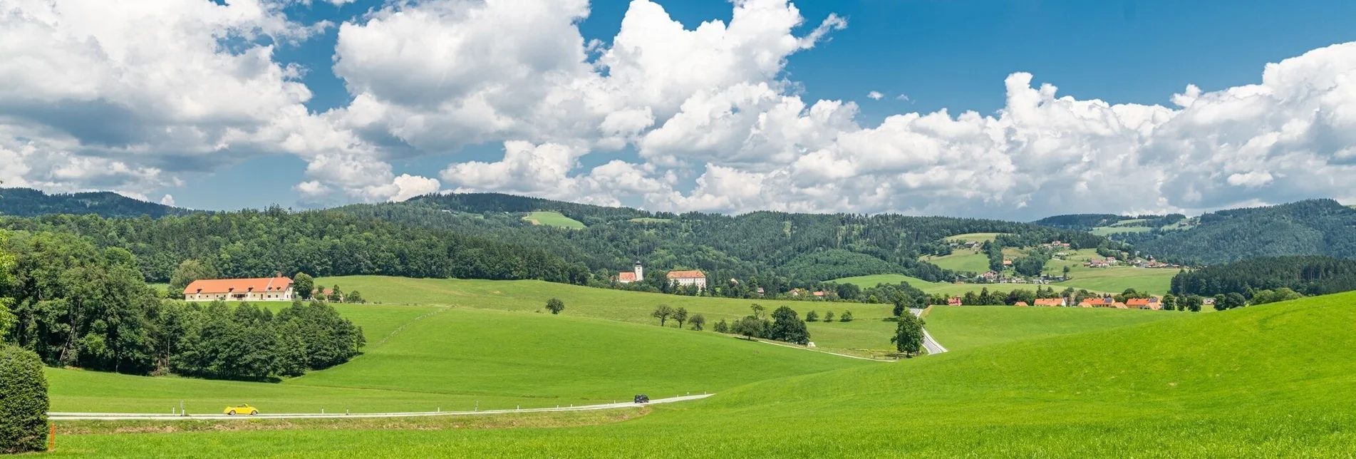 Bike Riding Lipizzaner Stud Farm Tour - Touren-Impression #1 | © Region Graz