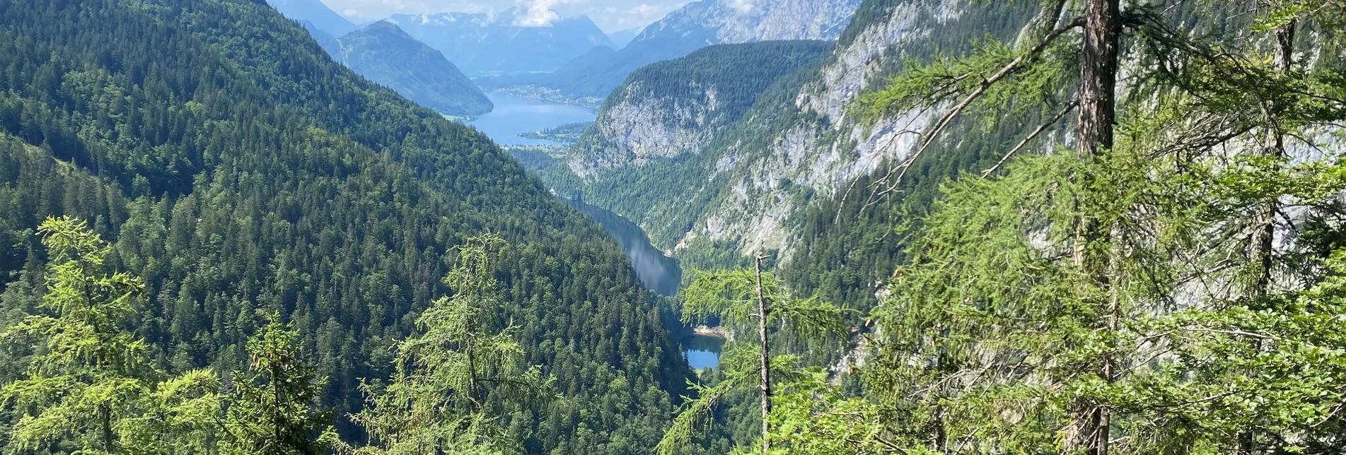 Hiking route 3-Seen-Blick - Touren-Impression #1 | © TVB Ausseerland Salzkammergut_Bettina Scheck