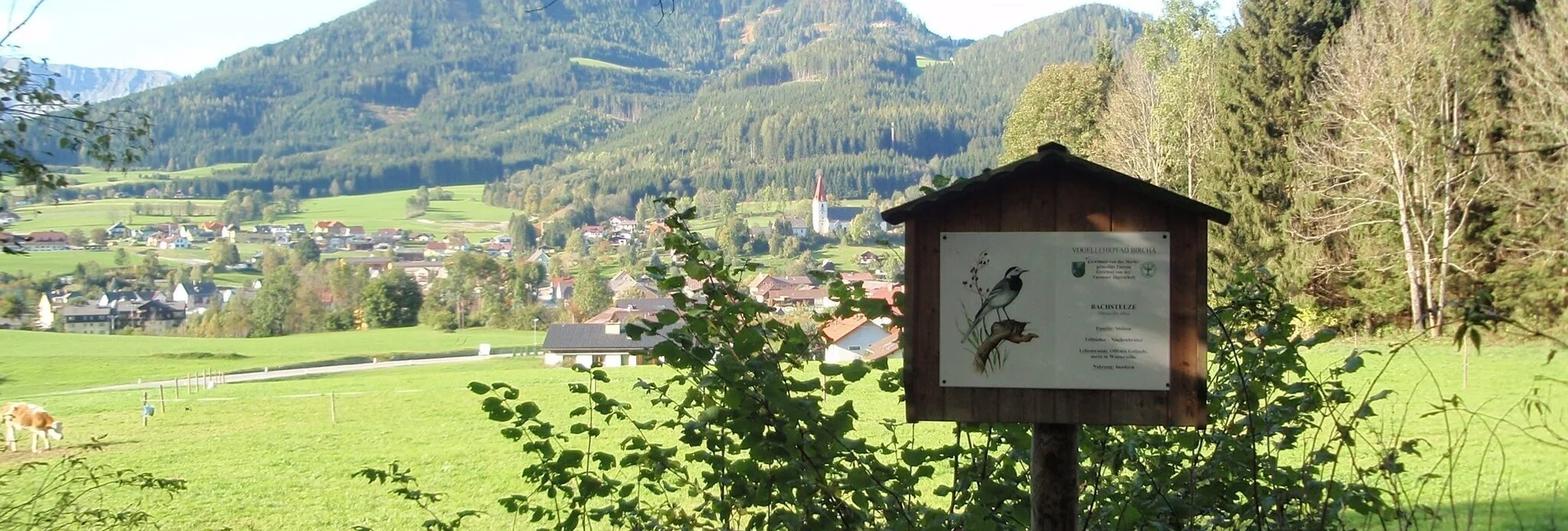 Theme path Birds' Educational Trail in Turnau - Touren-Impression #1 | © TV Hochsteiermark