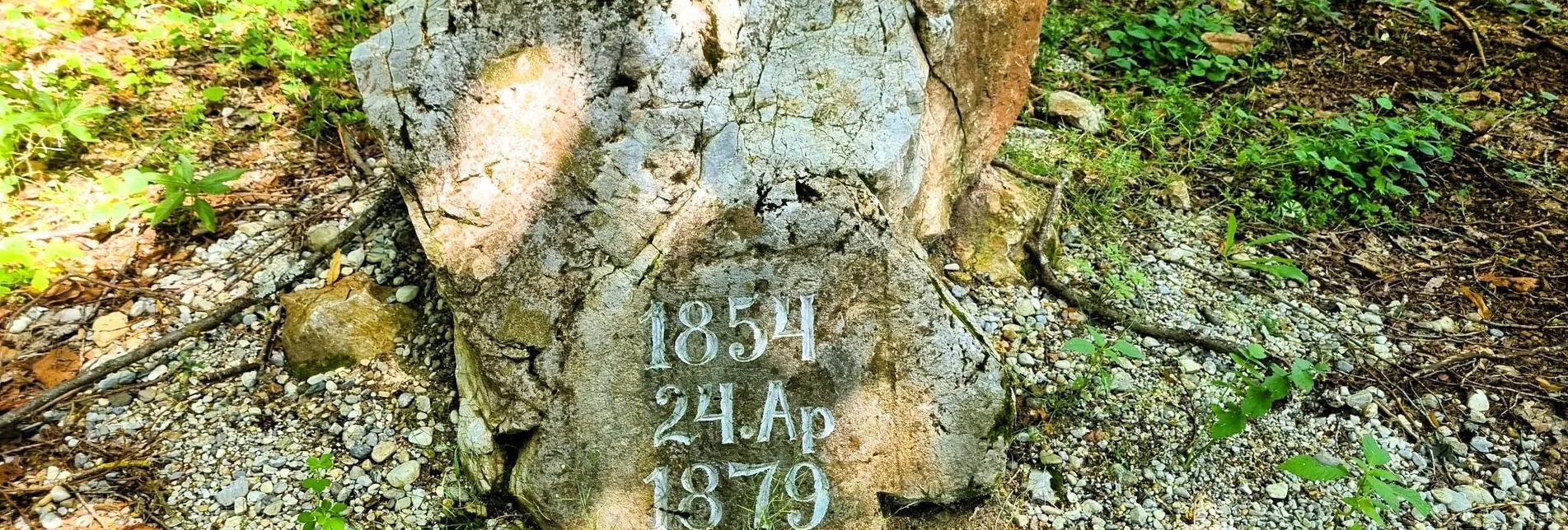 Hiking route Hike to the Sisistein in the Mürzer Oberland Nature Park - Touren-Impression #1