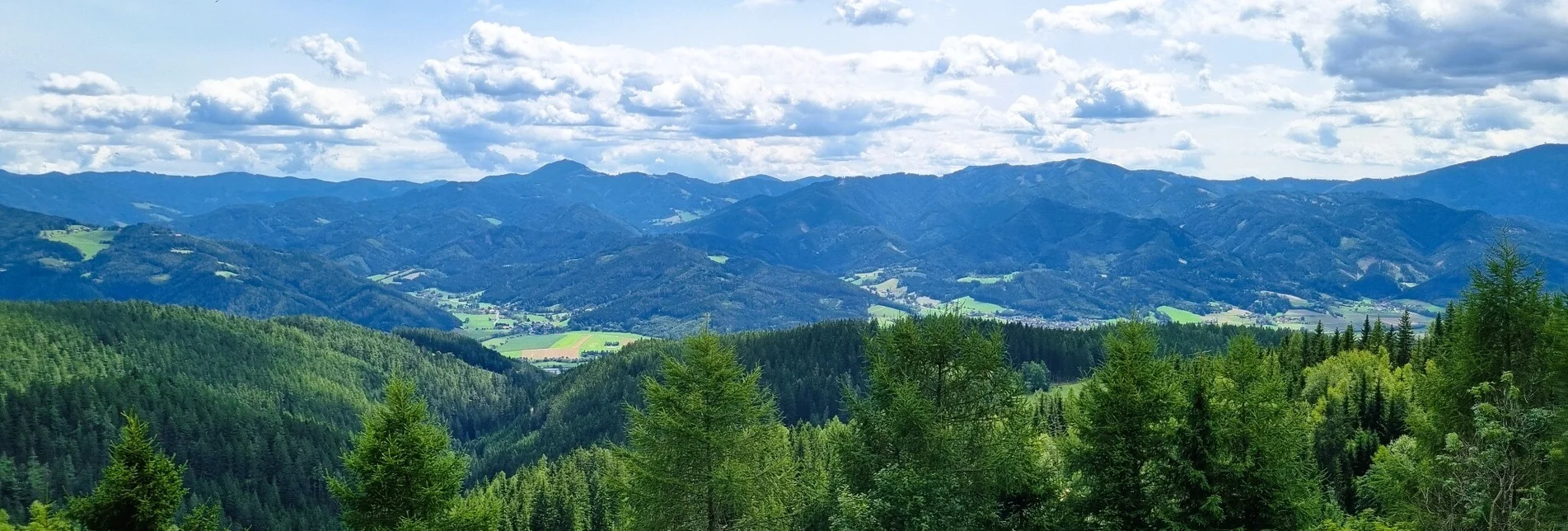 Hiking route Great Herzogberg circuit - Touren-Impression #1