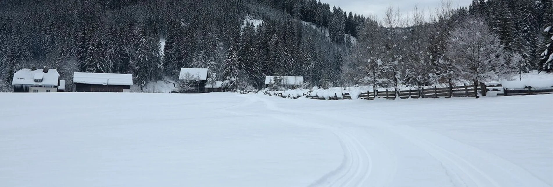 Ski nordic skating Panoramaloipe Wildalpen - Touren-Impression #1 | © TV Gesäuse