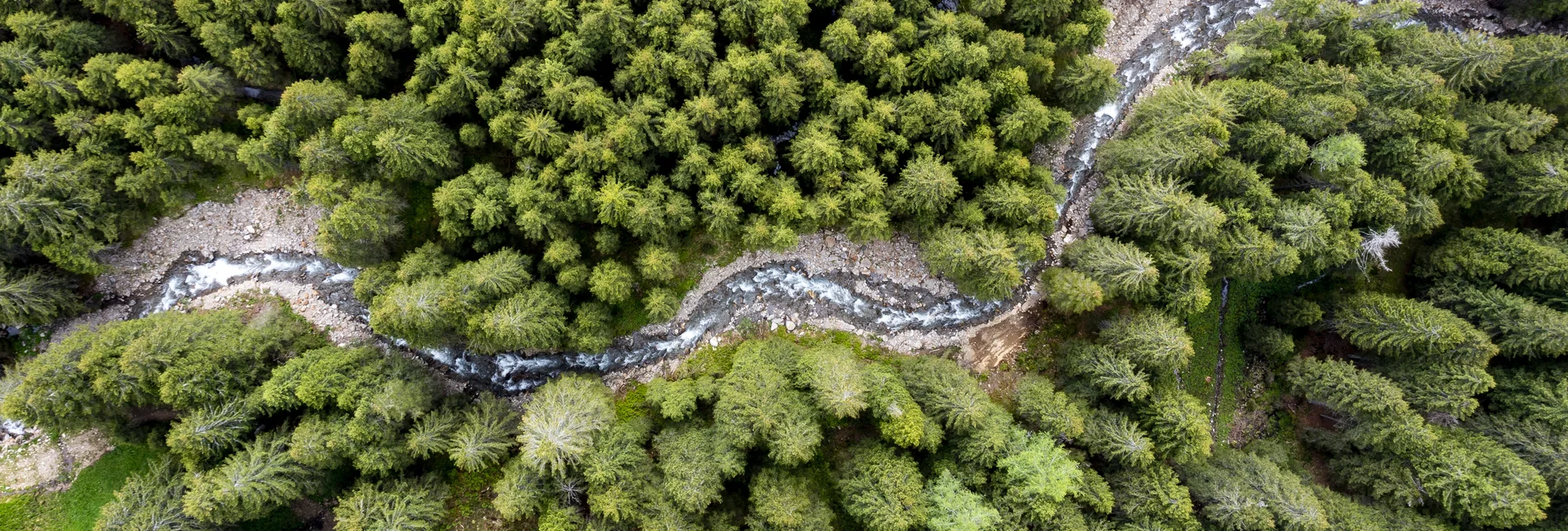 Schmelzbach schlingt sich durch die steirischen Wälder Schmelzbach schlingt sich durch die steirischen Wälder