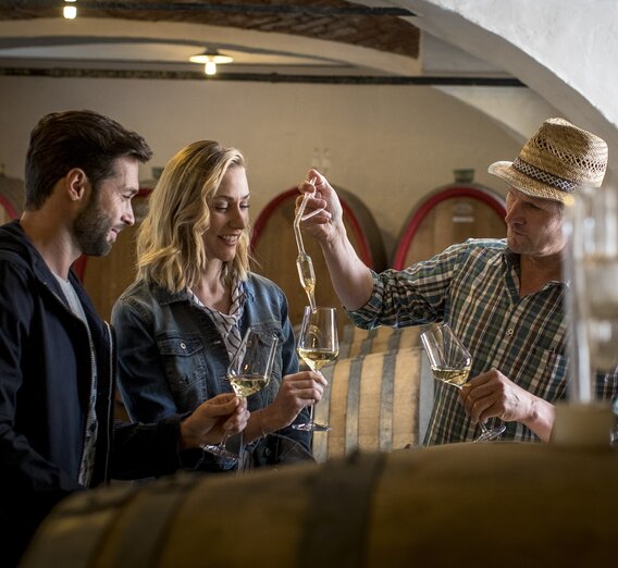 Wine tasting with Hans Söll, wine-growing estate Söll, Sernauberg | © Südsteiermark | Tom Lamm