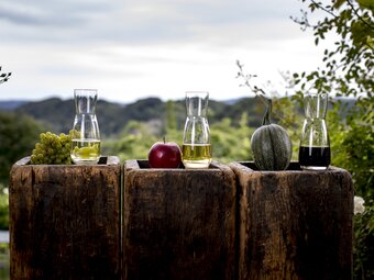 Die kulinarische Steiermark: Wein, Apfelsaft, Kürbiskernöl - die Süd & West Steiermark
