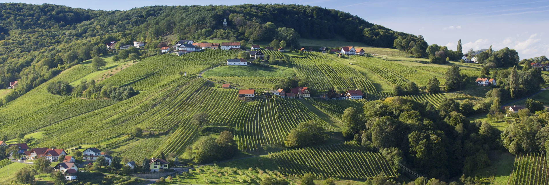 PackageDay trip to the delicacies in Thermen-& Vulkanland - Genuss ab Hof: Journey to culinary delights