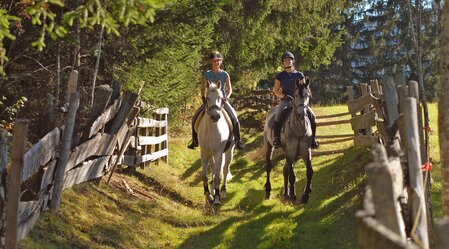Riding | © Steiermark Tourismus | photo-austria.at