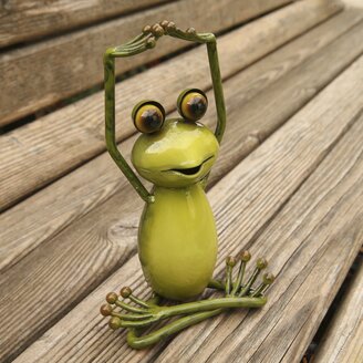 Steiermark-Frosch auf der Steiermark-Herzbank