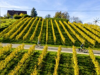 Radfahren im Weinland Steiermark