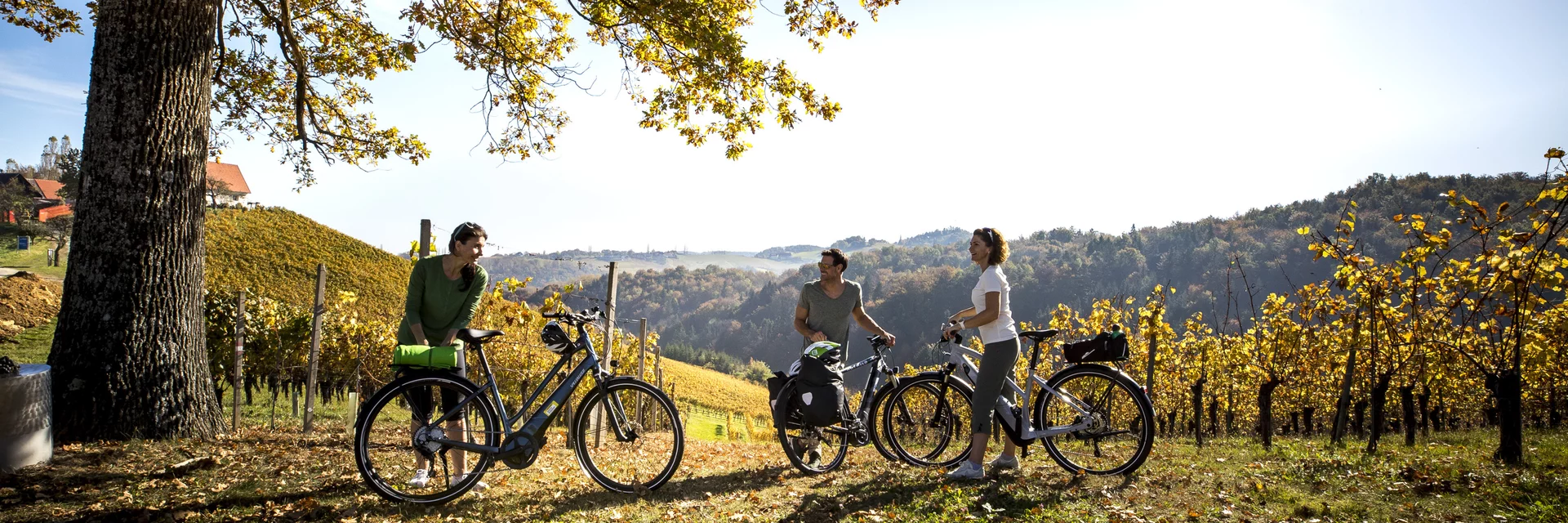 Radfahren im Weinland Steiermark | © STG | Tom Lamm Radfahren im Weinland Steiermark | © STG | Tom Lamm