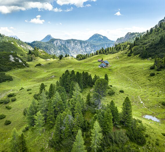 Grafenbergalm | © Steiermark Tourismus | pixelmaker.at