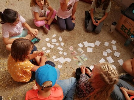 ABC-Hufis-Spiele-Murtal-Steiermark | © Martina Hochfellner