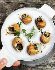 Snail tasting at the Biovinothek Monschein | © monschein | monschein | © monschein