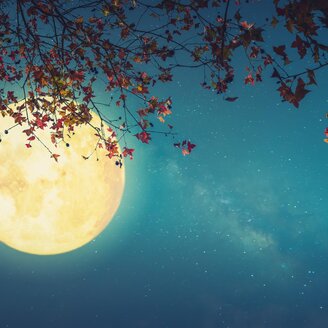 Full moon hike | © Das Kurhaus Bad Gleichenberg GmbH