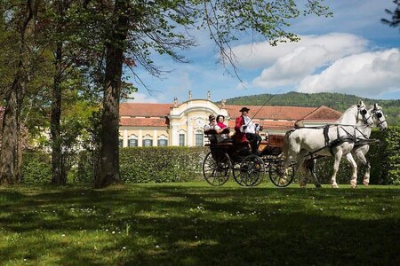 Der Schlosskutscher_Kutsche_Oststeiermark | © Der Schlosskutscher/Bergmann