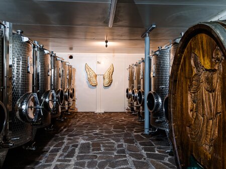 Weingut Triebl Steirisches Vulkanland Steiermark | © Weingut Triebl