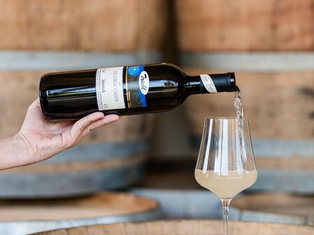 Weingut Triebl Steirisches Vulkanland Steiermark | © Weingut Triebl