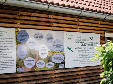 Weingut Triebl Steirisches Vulkanland Steiermark | © Weingut Triebl