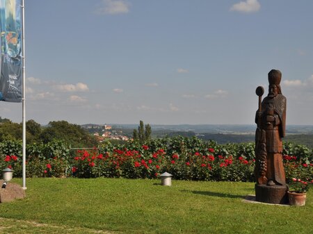 Aussicht St. Anna Aigen mit Urban | © Weingut Triebl
