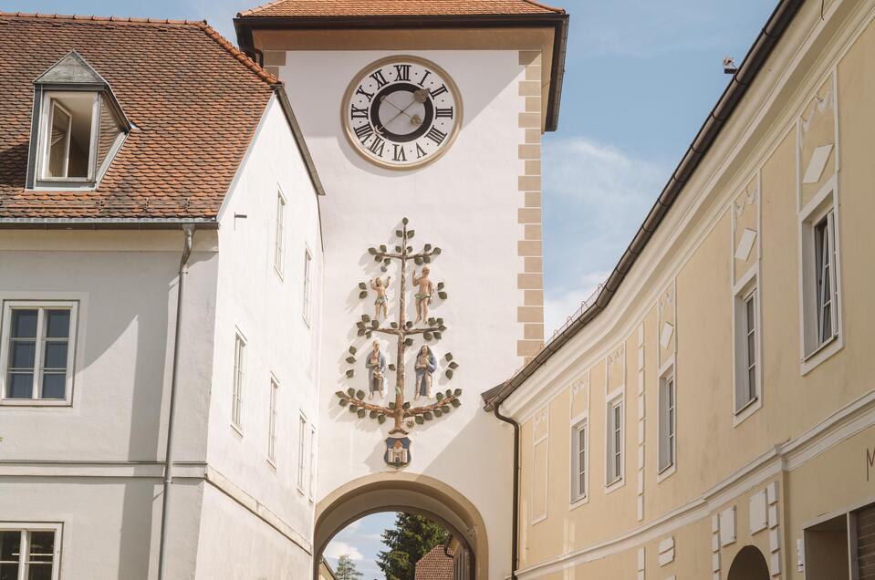 Obdach-Murtal-Steiermark | © Karl Steinegger