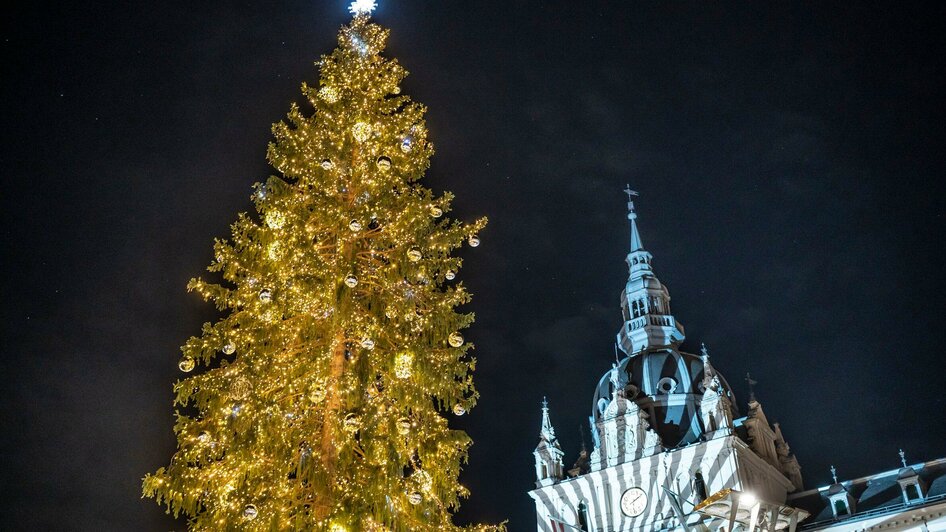 Christbaum am Grazer Hauptplatz | © Stadt Graz - Foto Fischer Christbaum am Grazer Hauptplatz | © Stadt Graz - Foto Fischer