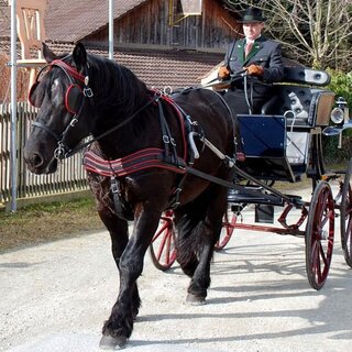 Ewald Schlagbauer_Pöllau_Oststeiermark | © Kutschen & Fahrbedarf Schlagbauer