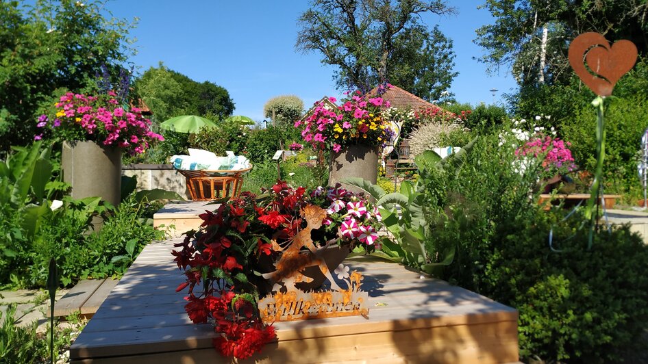 Guided tours of the herb show garden - Impressionen #2.1