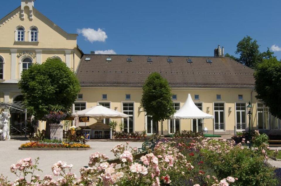 Cinema in the Kurhaus - Am Stein - Impression #1
