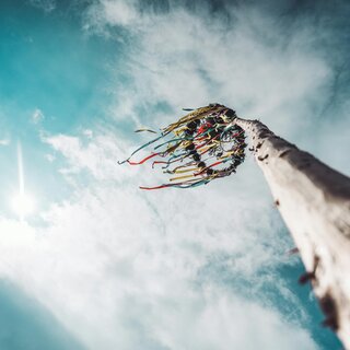 Maibaum | © Unsplash