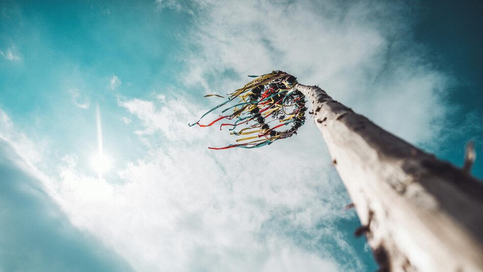 Maibaum | © Unsplash