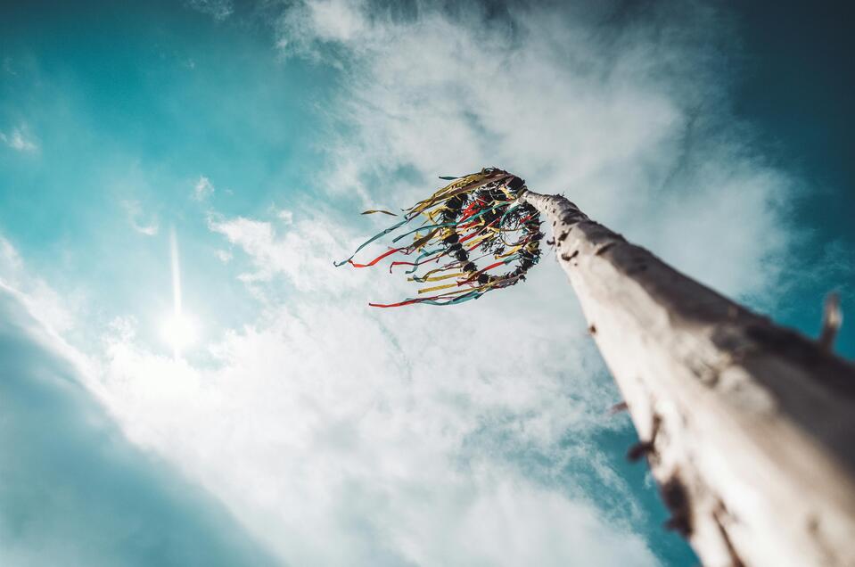 Maibaum | © Unsplash