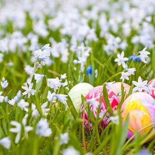 Osternesterlsuche_Oststeiermark_AdobeStock | © Tourismusverband Oststeiermark