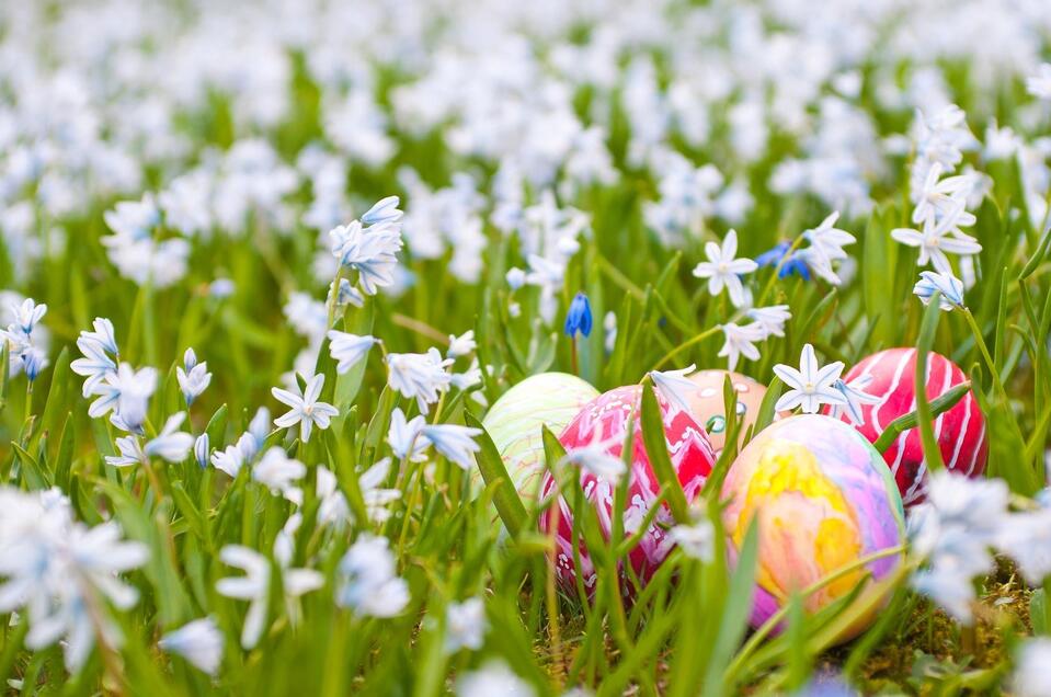 Osternesterlsuche_Oststeiermark_AdobeStock | © Tourismusverband Oststeiermark