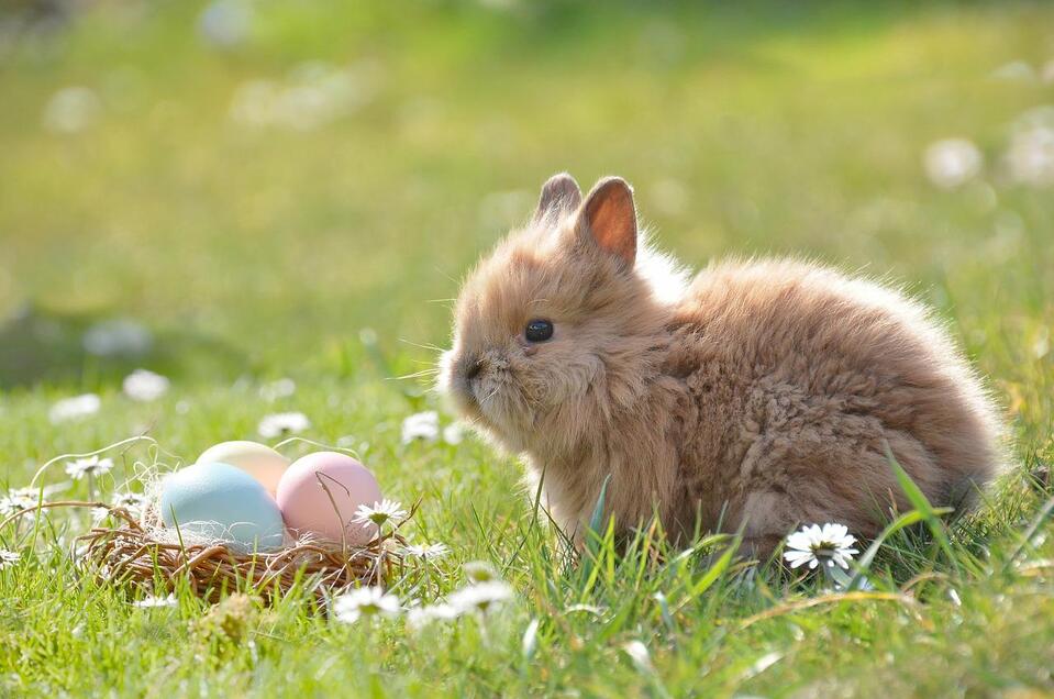 Ostern_Pixabay | © Pixabay