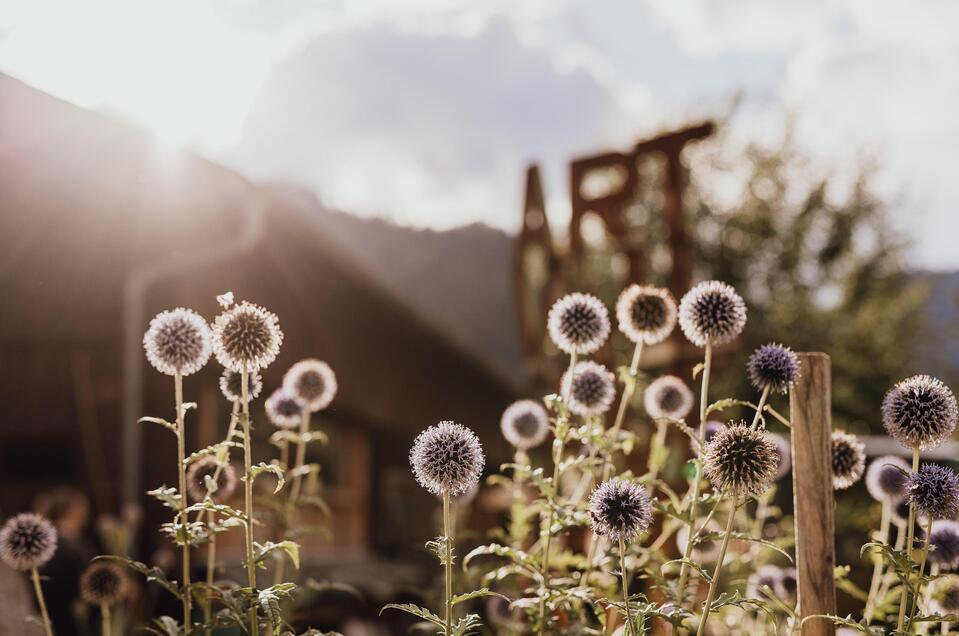 Summer of Art | © nicoleseiser.at
