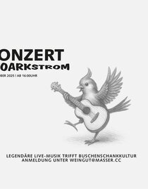 Stoarkstrom | © Weingut Masser | Weingut Masser | © Weingut Masser