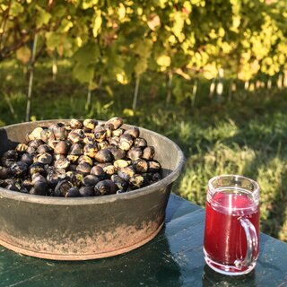 "Sturm" (wine) and chestnuts at the Saturday market | © © pixelmaker.at