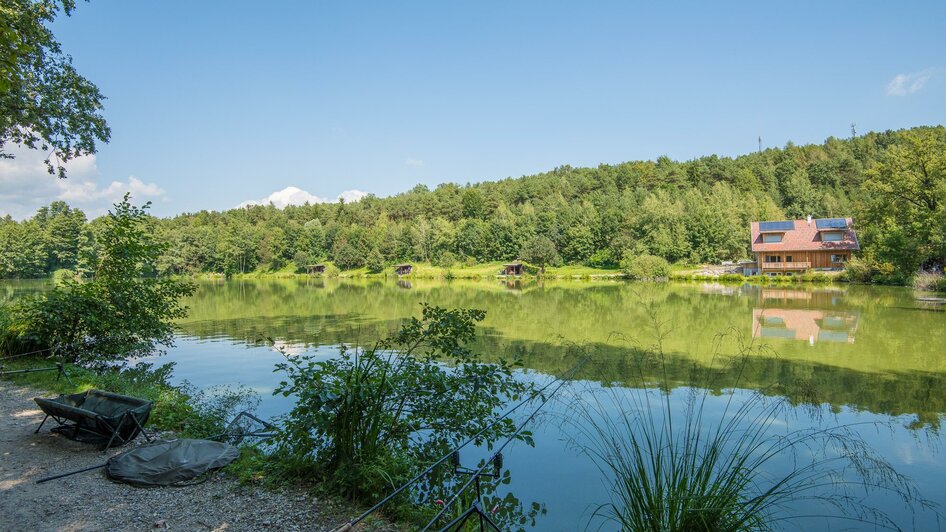 Winzendorfer Teiche_Pöllau_Oststeiermark | © Helmut Schweighofer