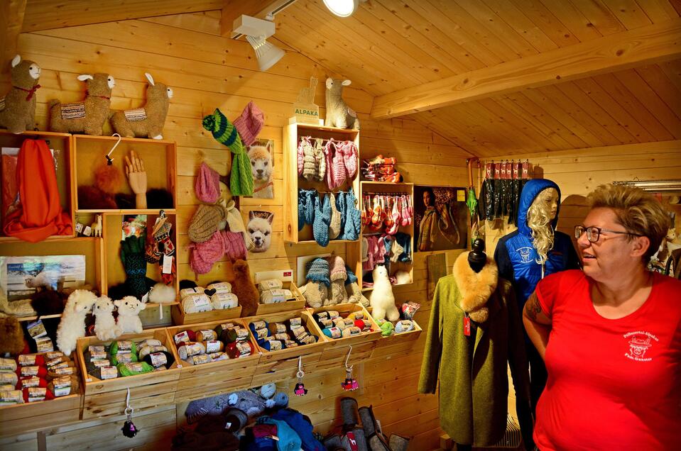 Alpaka-Farm Shop Ganster - Impression #1 | © Strassegger