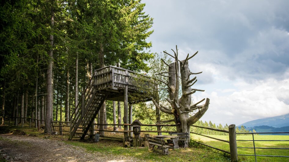 Aussichtsplattform-Ansicht3-Murtal-Steiermark | © Anita Fössl