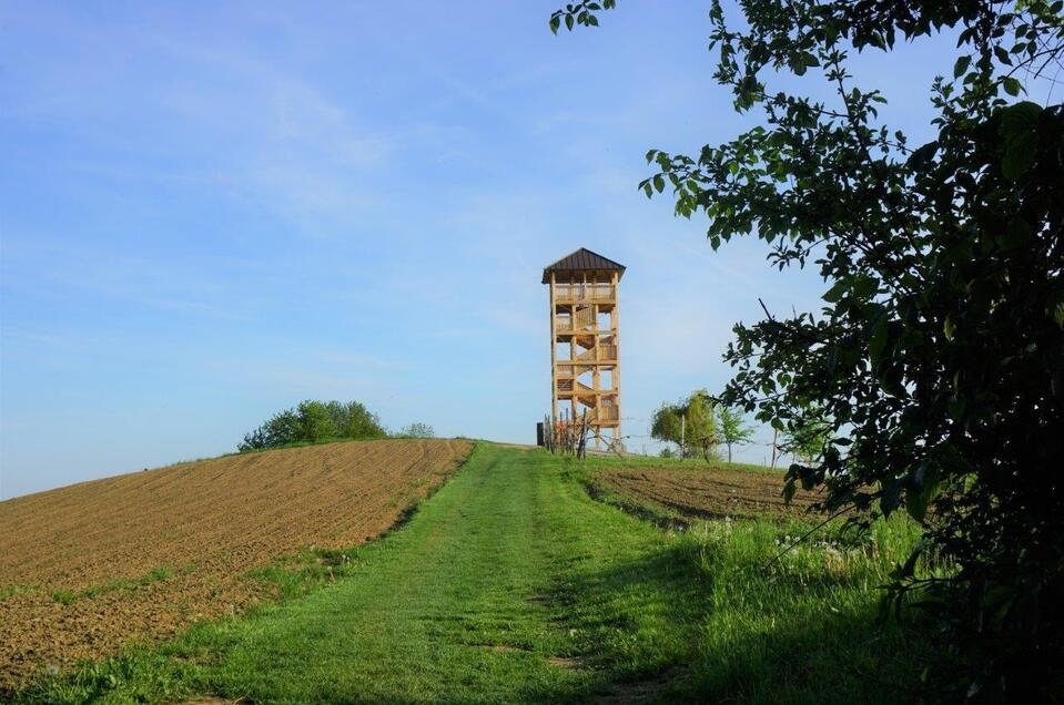 Aussichtswarte Unterlamm Mensch & Natur ERlebensraum - Impression #1 | © Gemeinde Unterlamm