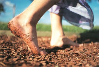 Barefoot Park Wenigzell_Station bark_Eastern Styria | © Barfußpark Wenigzell