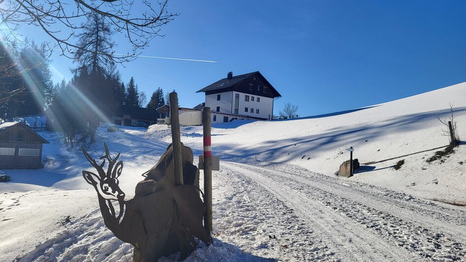 Bründl trail - Impression #2.12