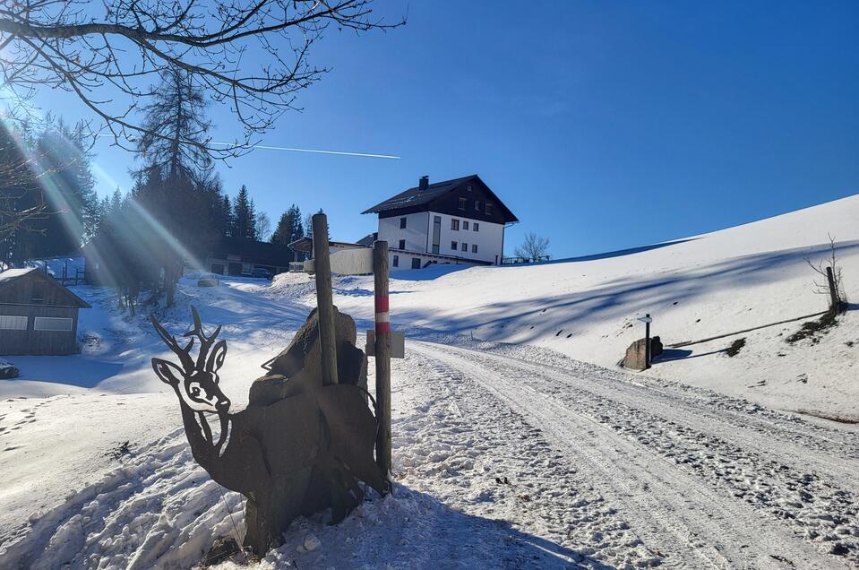 Bründl trail - Impression #1