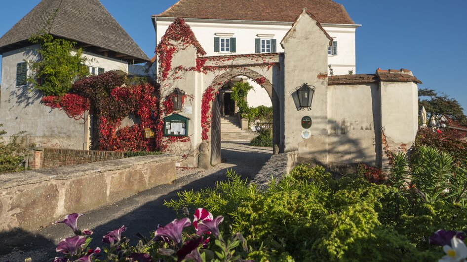 Schloss Kapfenstein | © Schlösserstraße