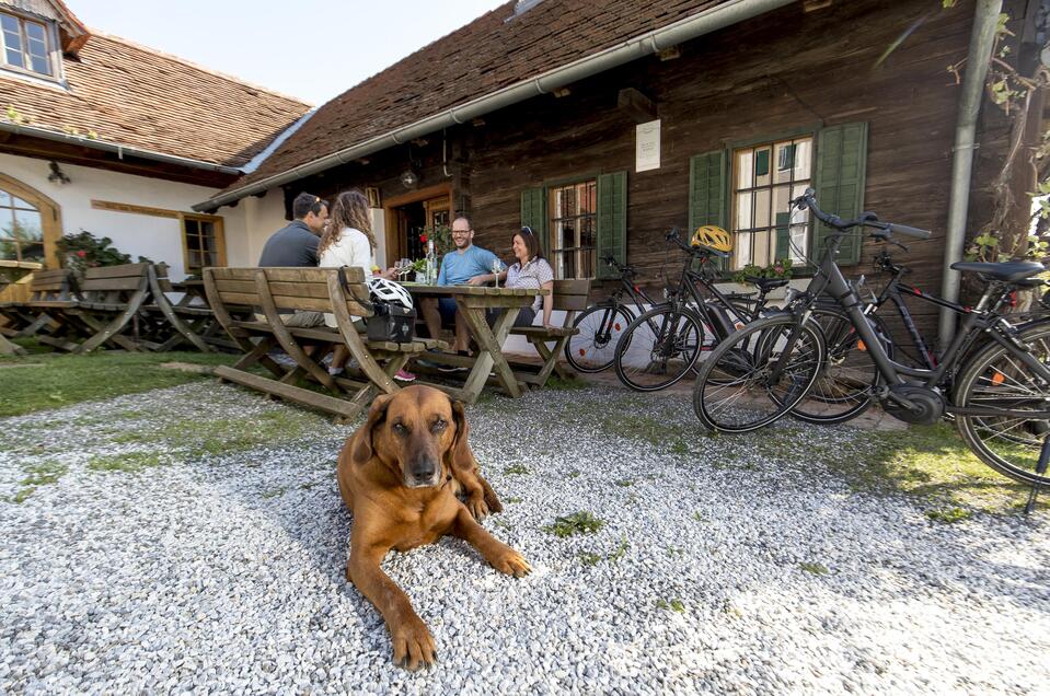 E-Bike Ladestation Haus des Apfels - Impression #1 | © Steiermark Tourismus