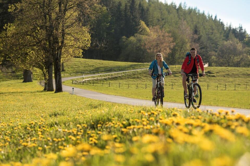 E-Bike Verleih Almenlandbüro - Impression #1 | © Tourismusverband Oststeiermark