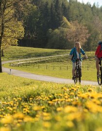 Biking_Eastern Styria_Bergmann | © Tourismusverband Oststeiermark | Bernhard Bergmann | © Tourismusverband Oststeiermark