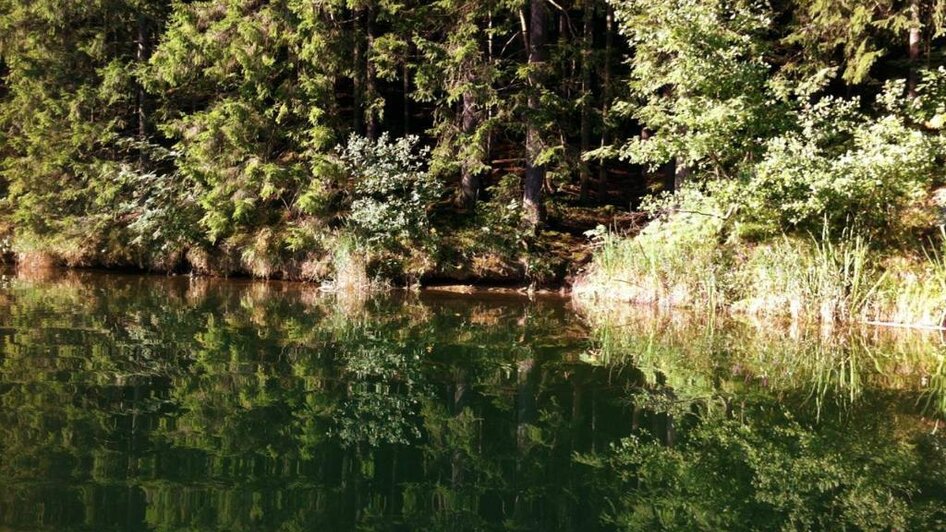 Hirzmann Stausee_sonniges Ufer | © TV Lipizzanerheimat | CH Hirzmann Stausee_sonniges Ufer | © TV Lipizzanerheimat | CH