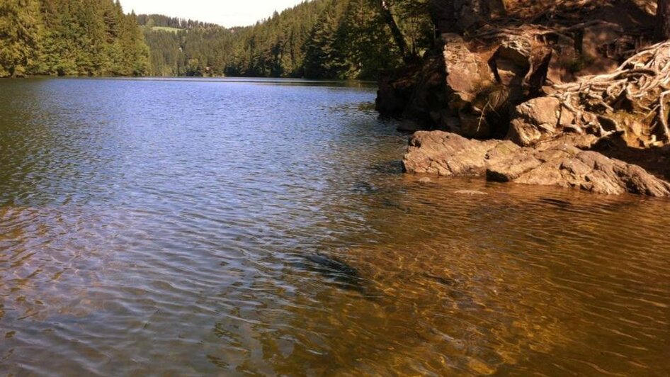 Hirzmann Stausee_Sommer | © TV Lipizzanerheimat | CH Hirzmann Stausee_Sommer | © TV Lipizzanerheimat | CH